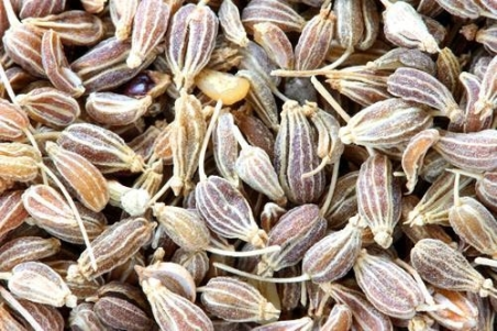 I semi di anice danno un gusto particolare ai brigidini.
